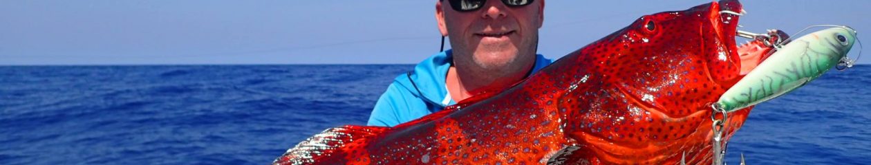 Allure Bespoke Lures