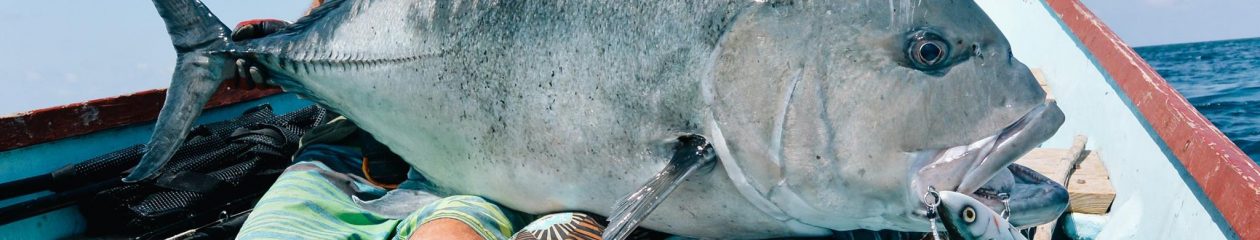 Allure Bespoke Lures